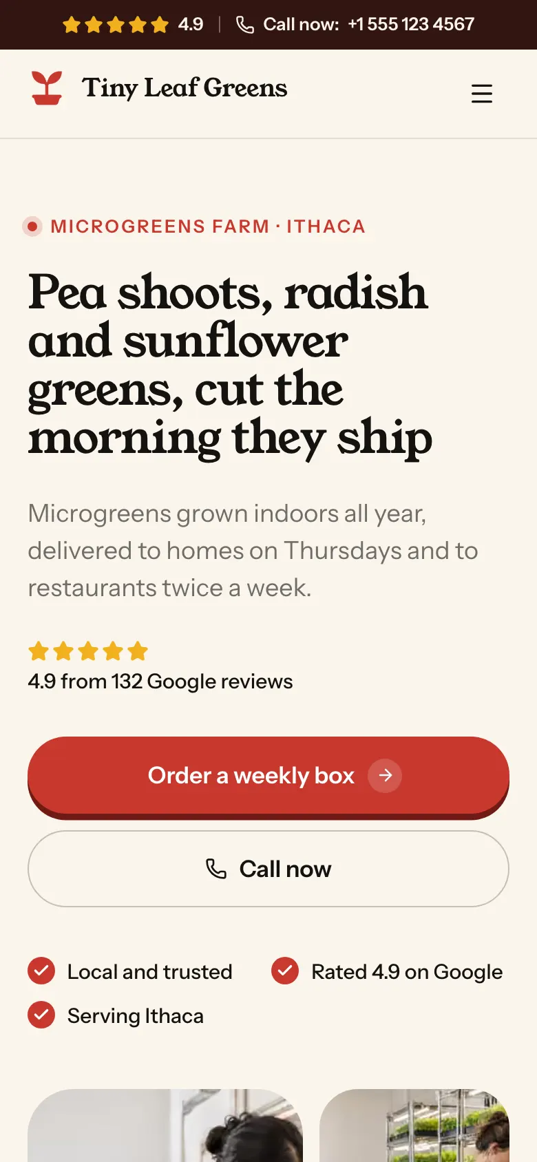 The Microgreens Farm template on a phone