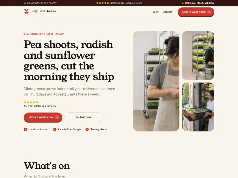 The Microgreens Farm website template for farms and orchards, worn by a sample business