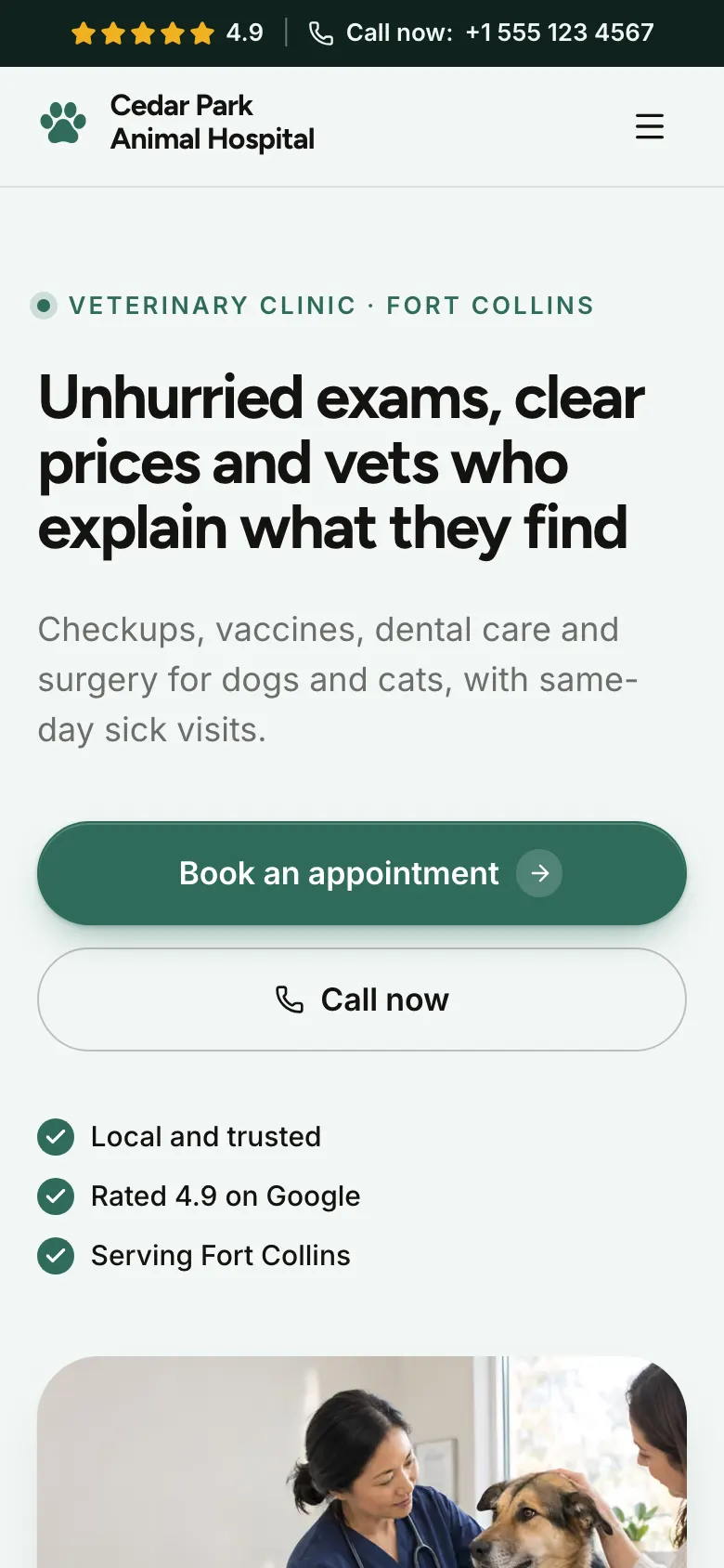 The Veterinary Clinic template on a phone