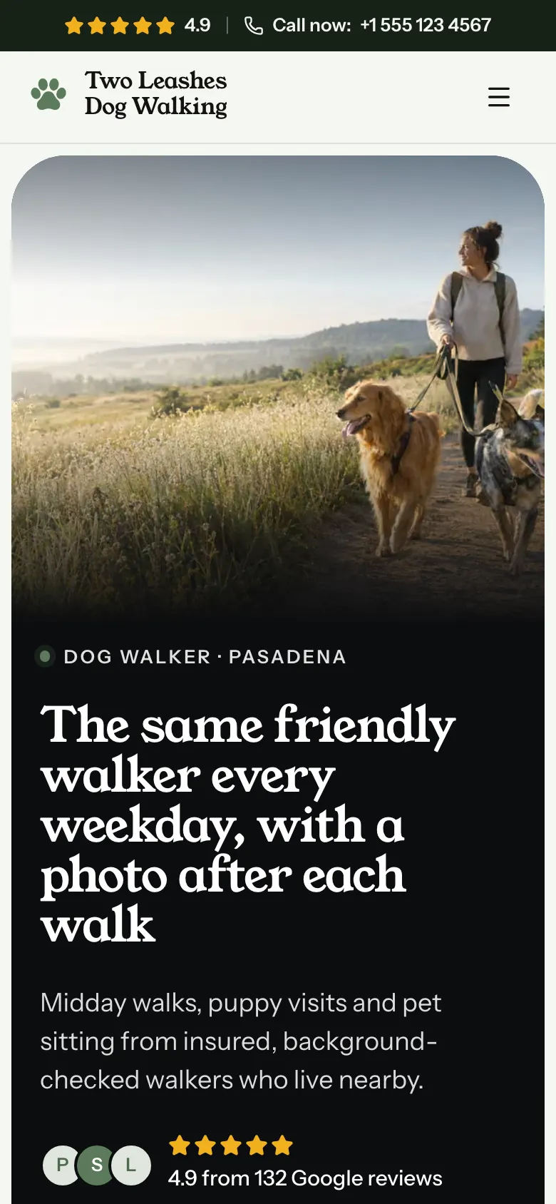 The Dog Walker template on a phone