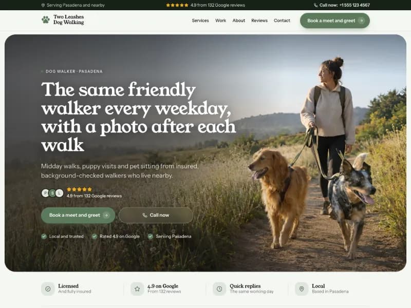 The Dog Walker website template for pets, worn by a sample business